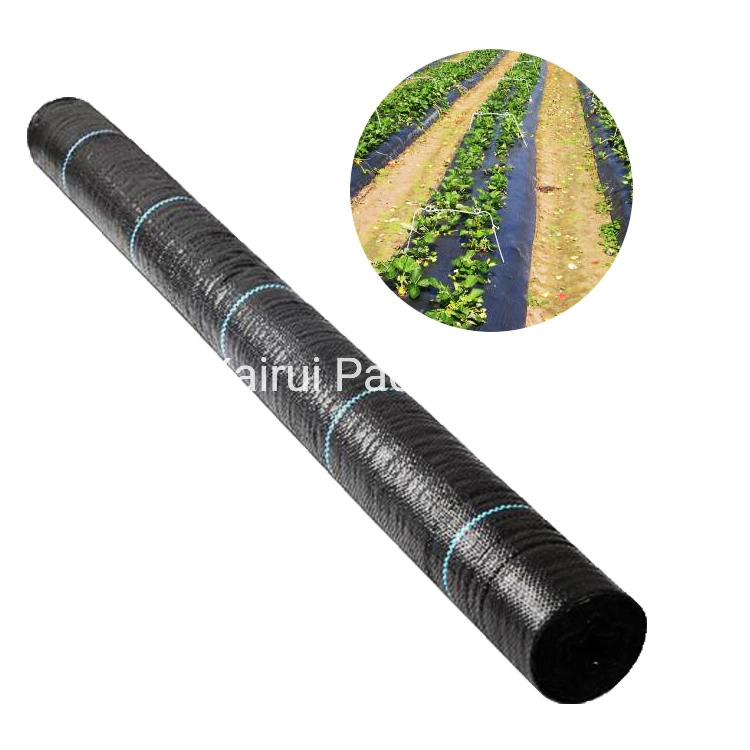 Egp Pmw006 Anti UV Plastic Agricultural Woven Best Weed Control Products